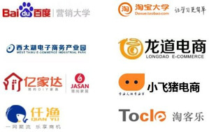 电子商务专业中的网络营销策划 理论与实践