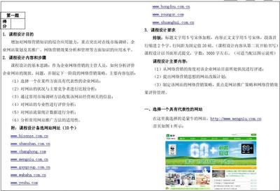 网络营销策划实验报告期末测试分析